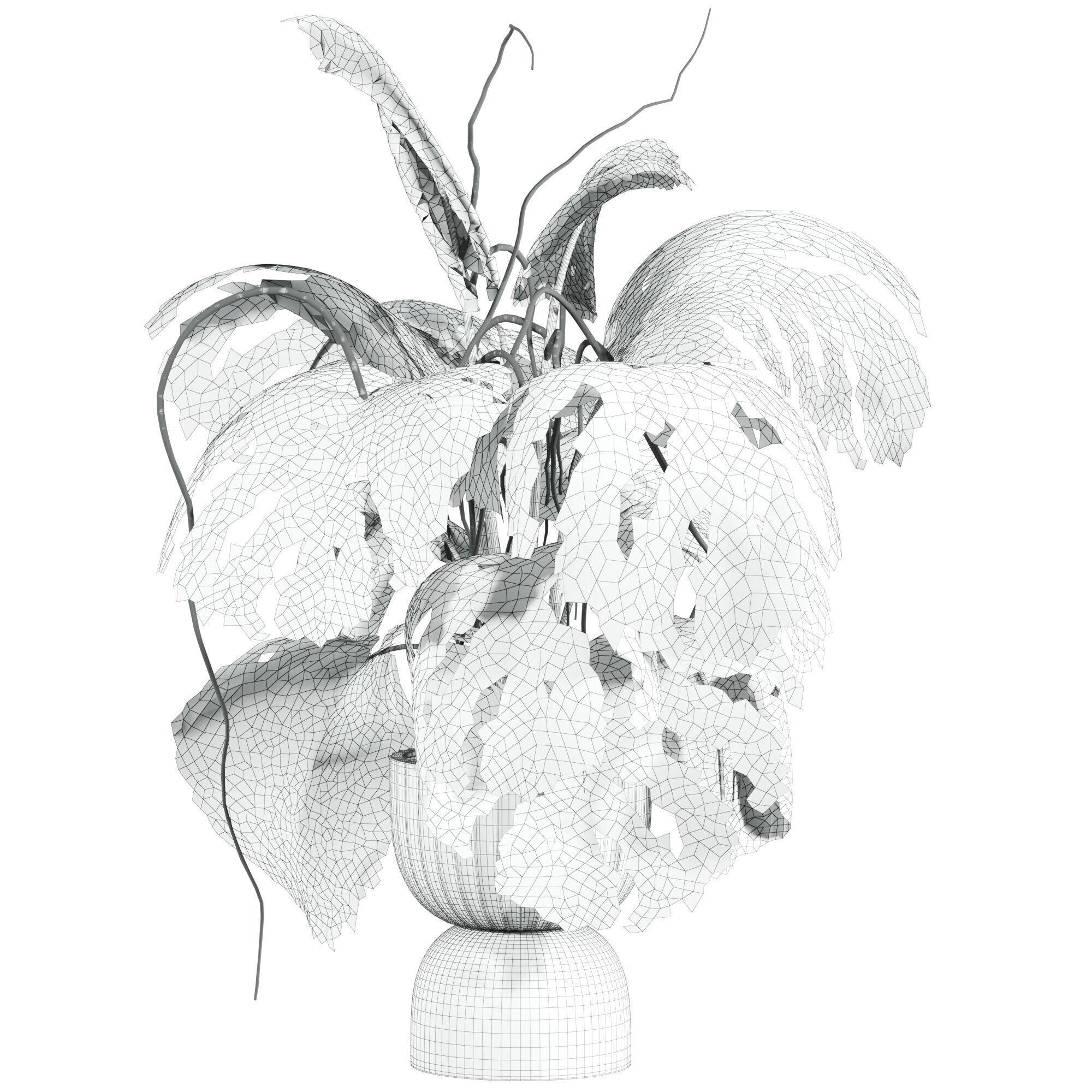 monstera potted plant 3D model_2