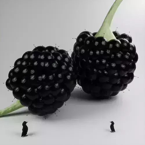 Realistic Blackberry with Customizable Hair and Berry Size FREE