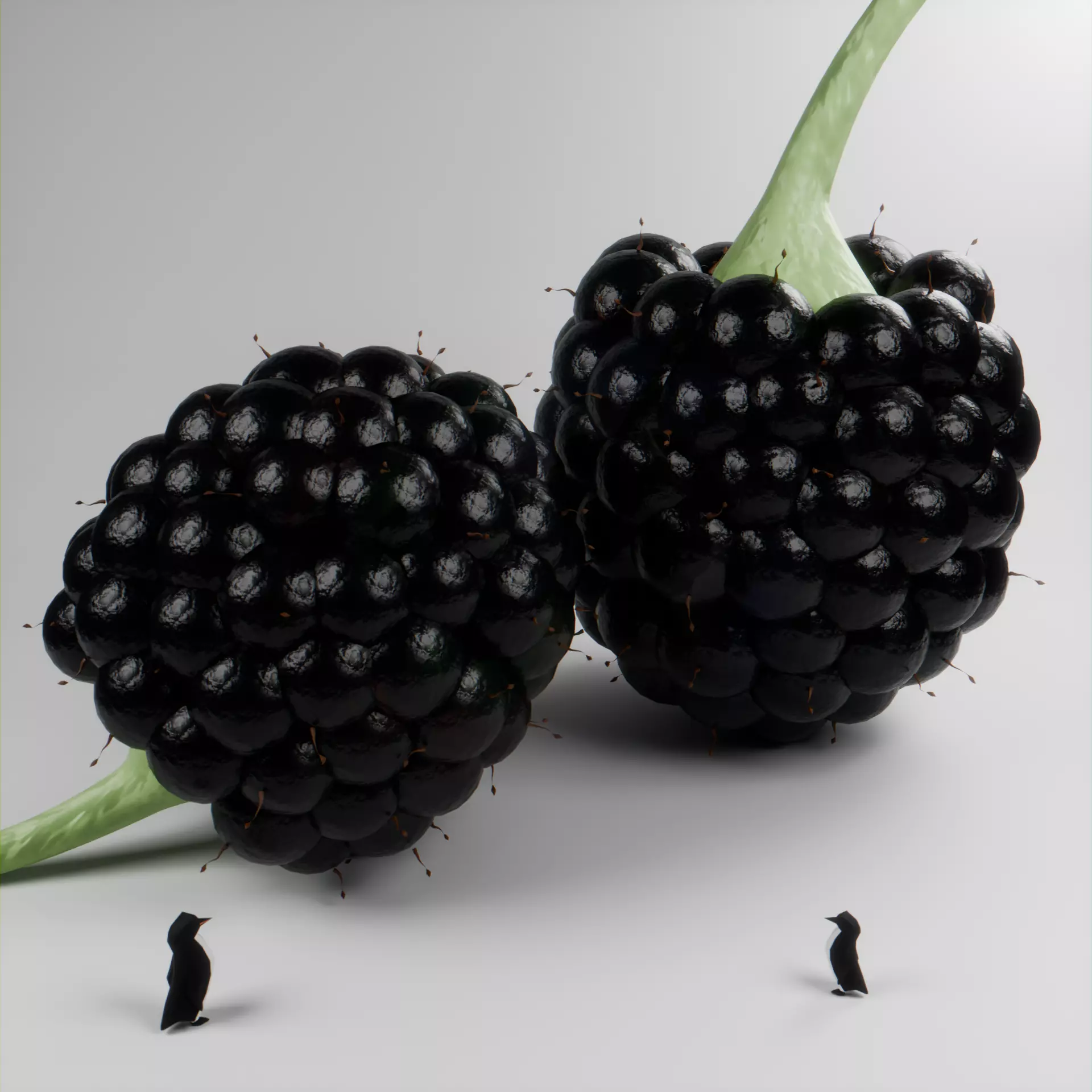 Realistic Blackberry with Customizable Hair and Berry Size FREE Free low-poly 3D model