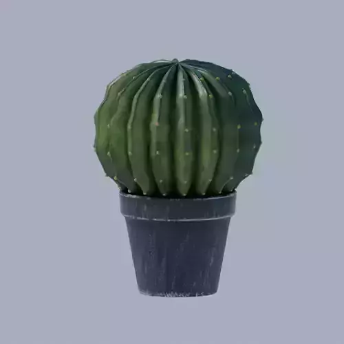 Cactus