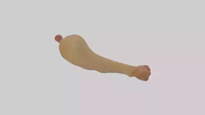 Cartoon Chicken Leg