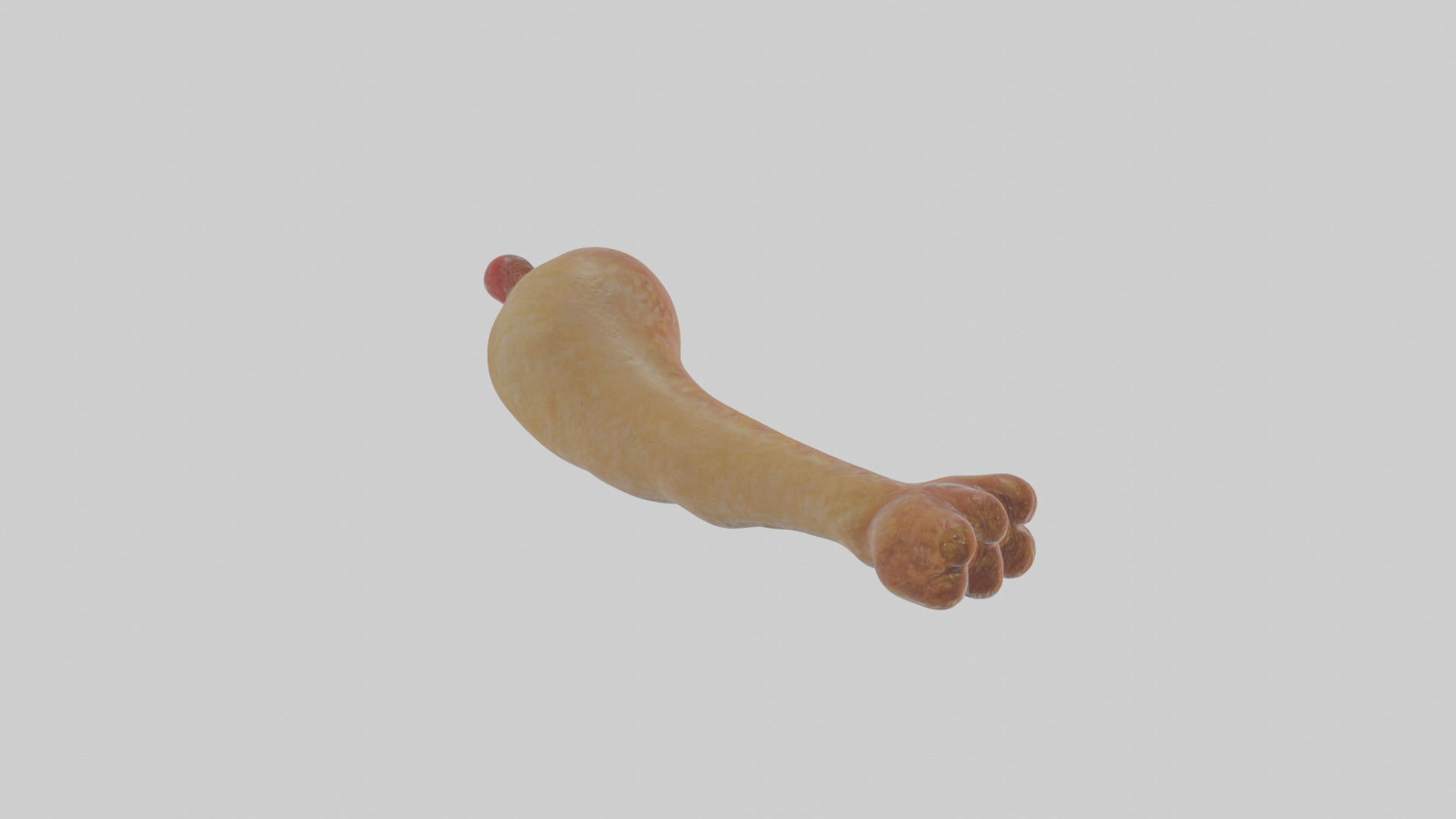 Cartoon Chicken Leg Low-poly 3D model_3