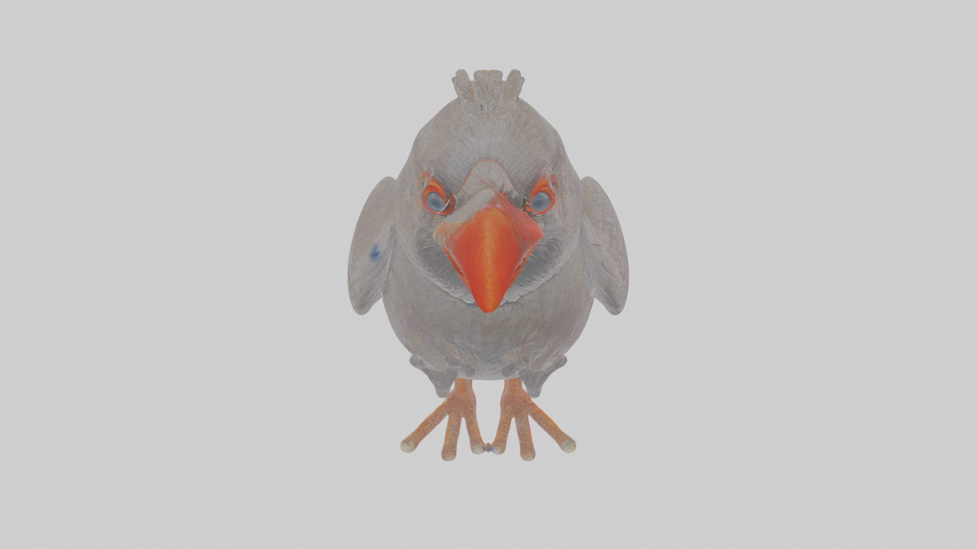 Cartoon Chough Low-poly 3D model_24