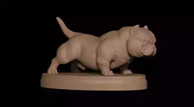 Exotic Bully Campeonato