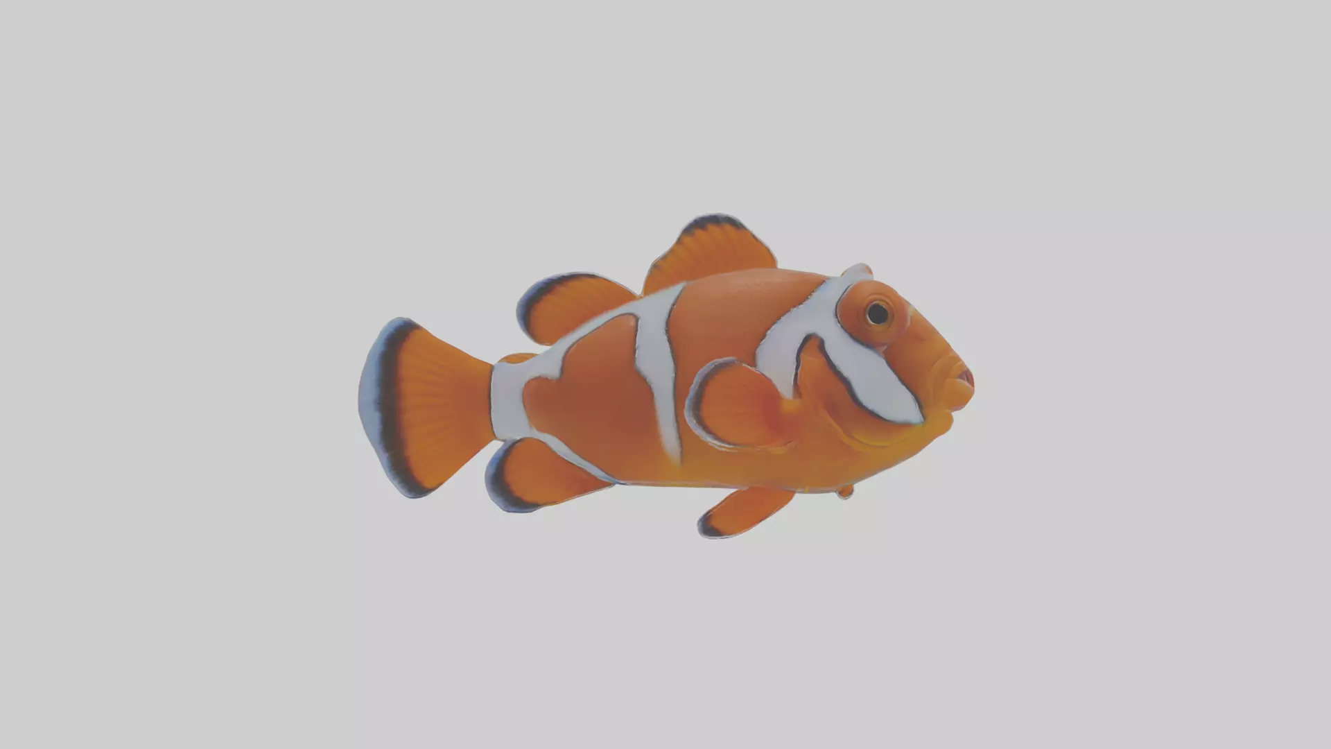 Cartoon Clownfish Low-poly 3D model_0
