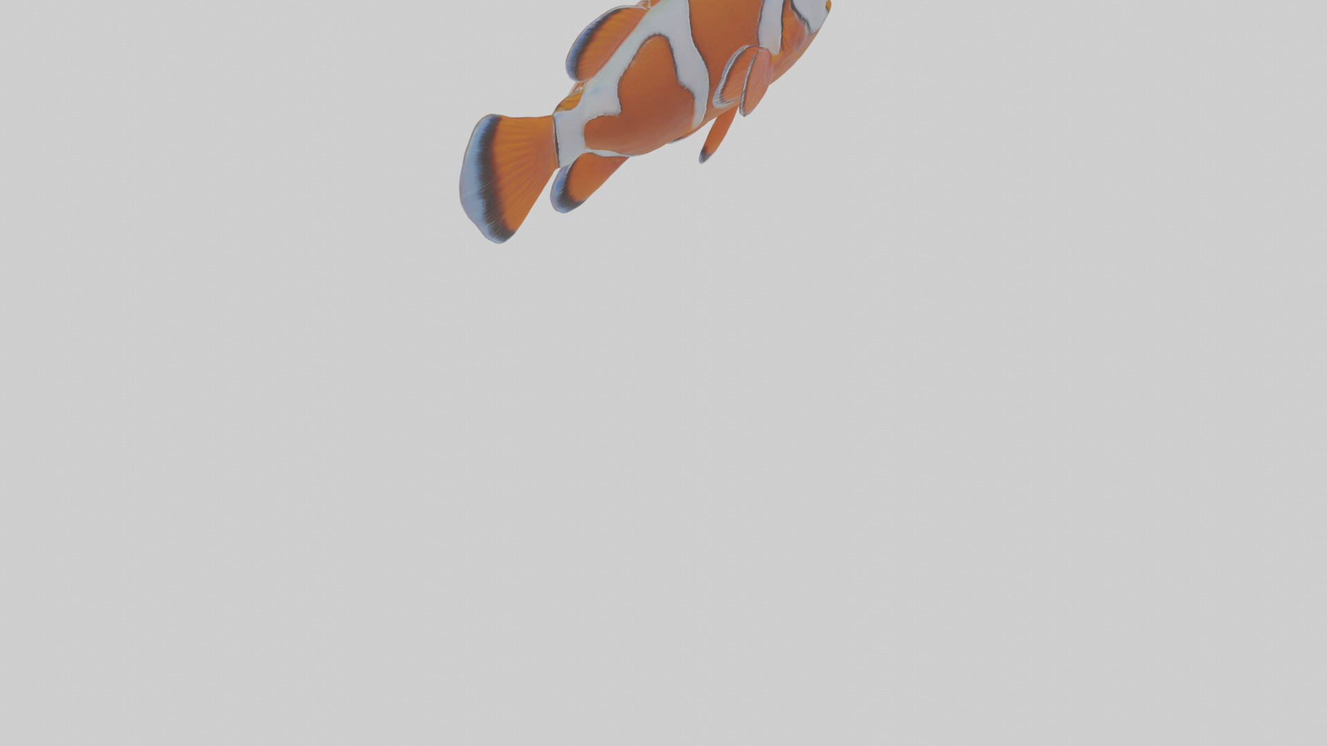 Cartoon Clownfish Low-poly 3D model_4