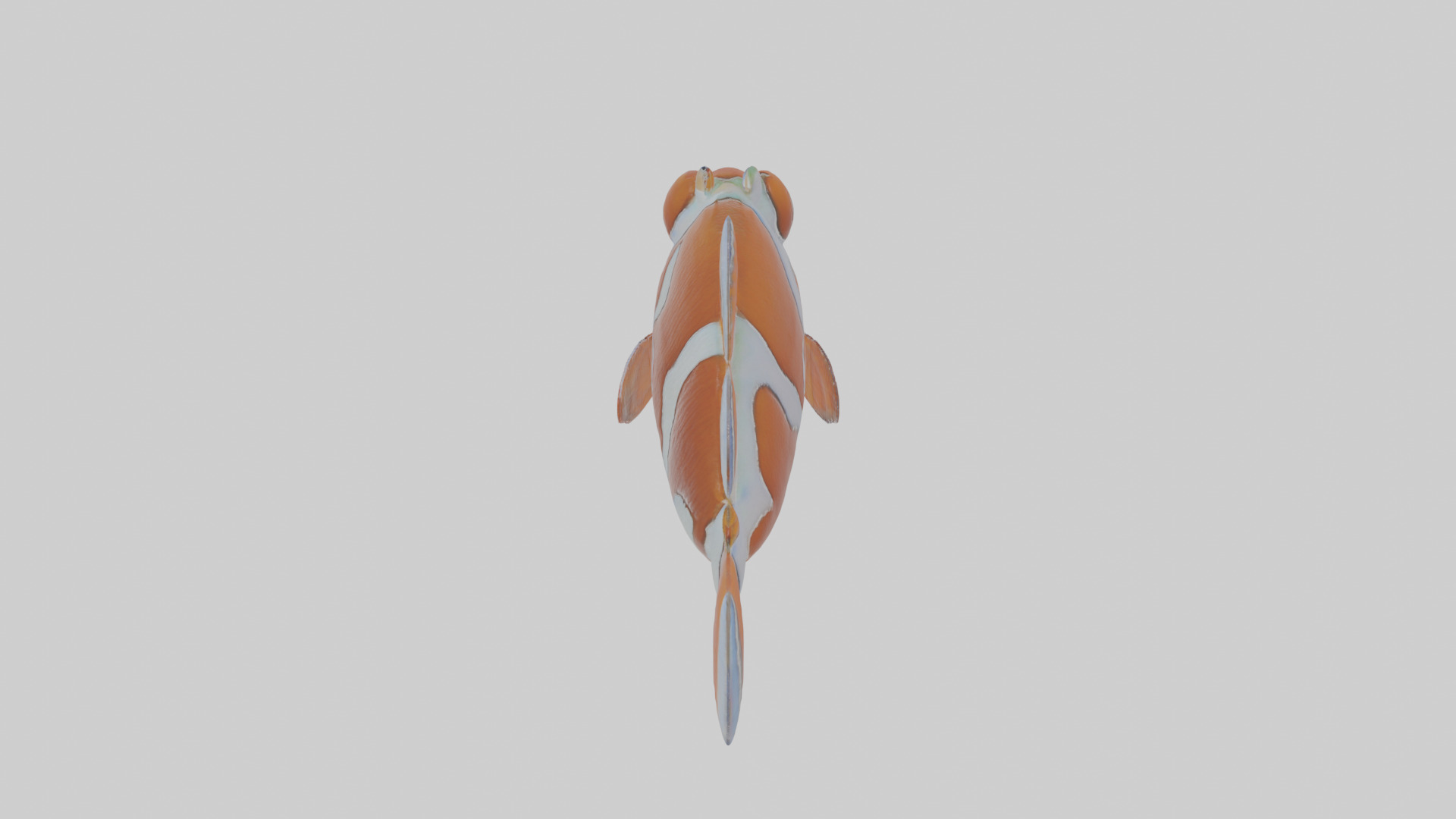Cartoon Clownfish Low-poly 3D model_27