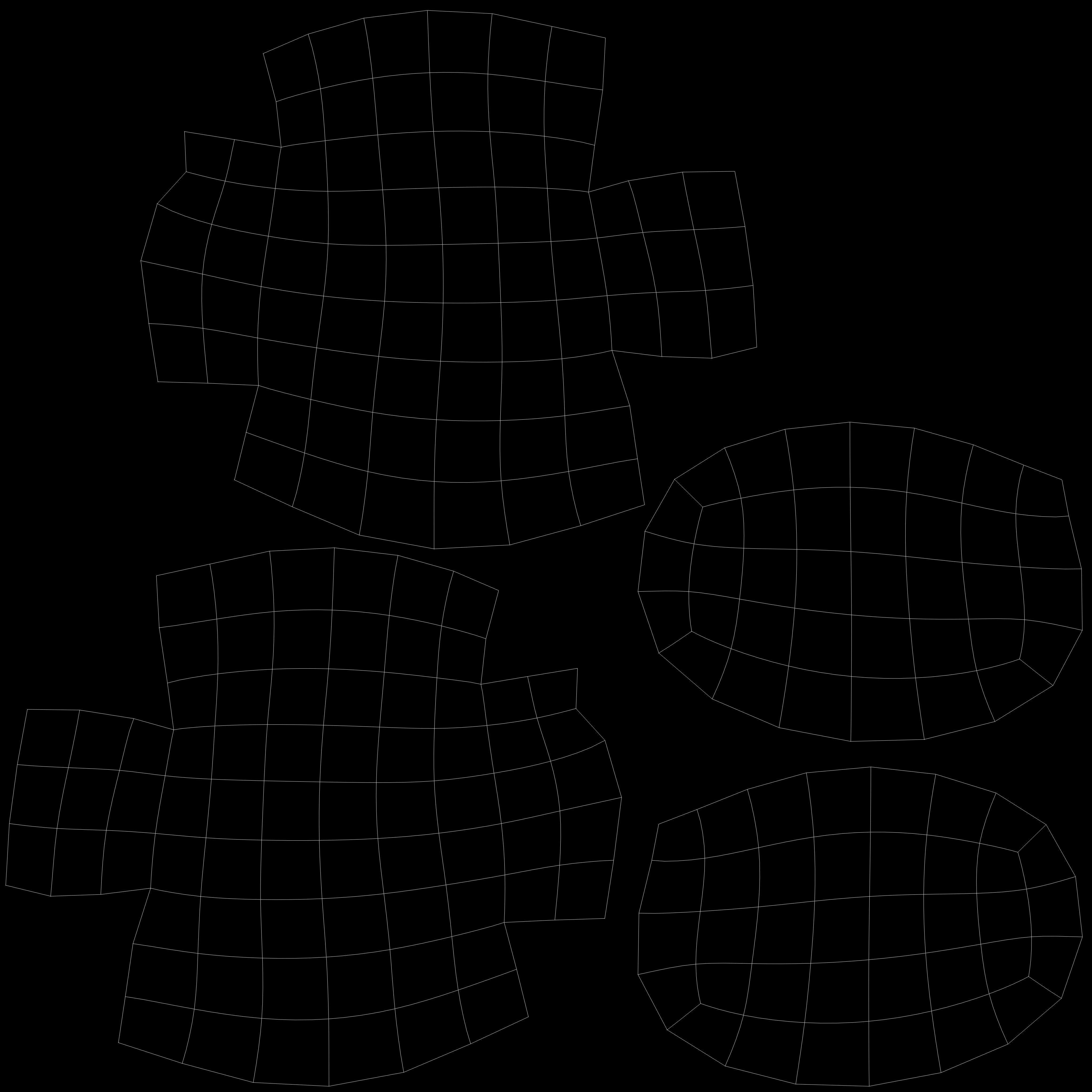 Blotchy Swell Shark 3D model_18