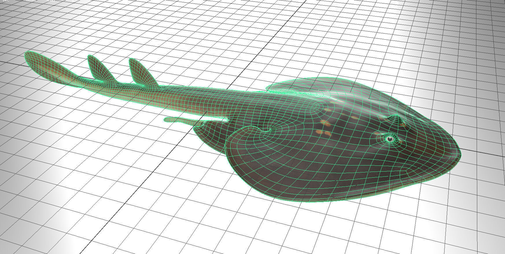 Yellow Spotted Fanray 3D model_10