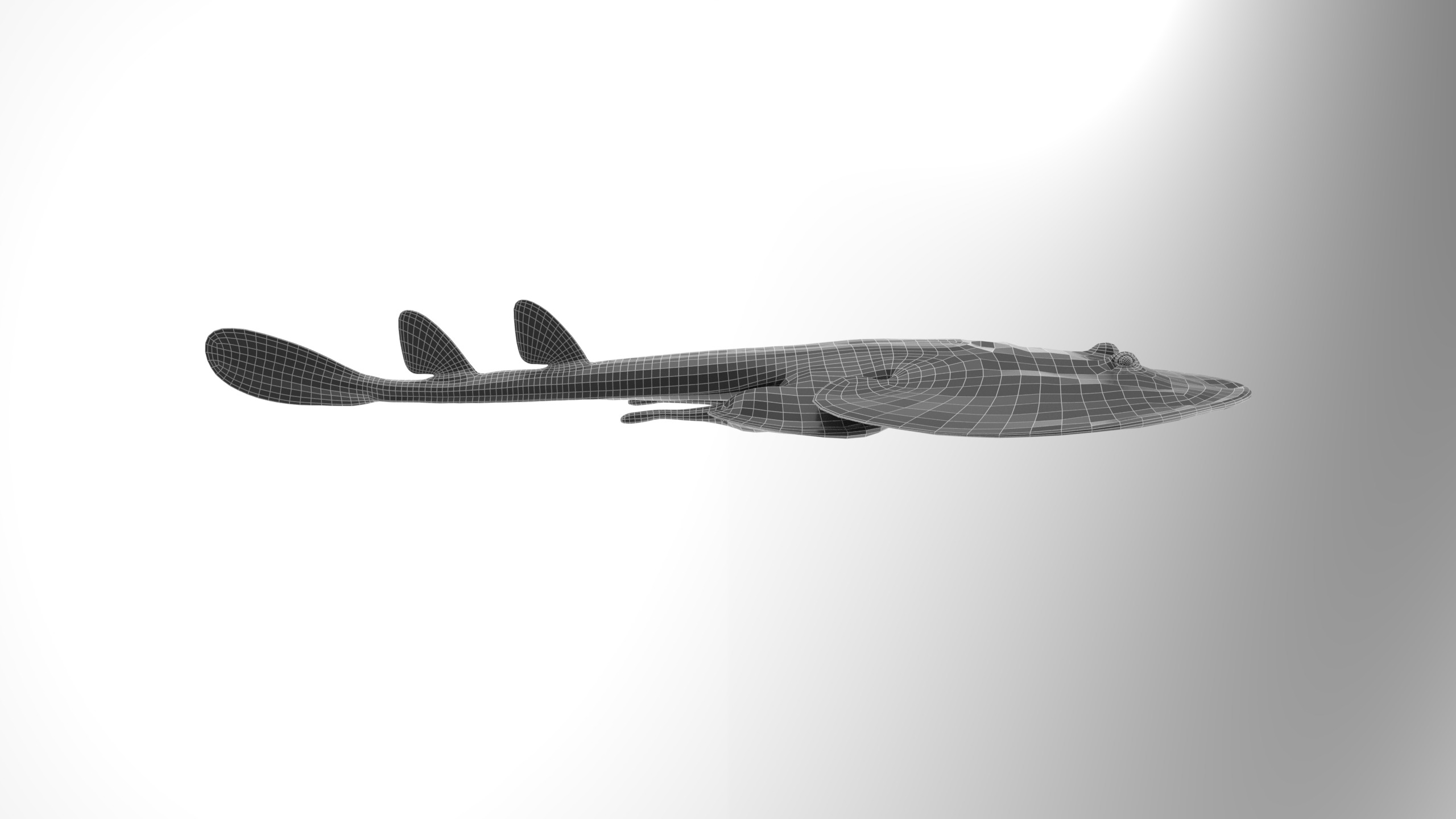 Yellow Spotted Fanray 3D model_9