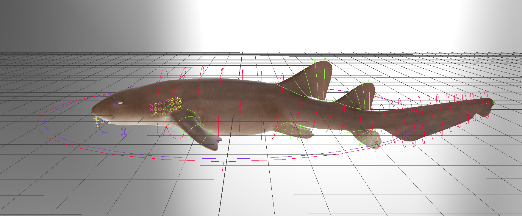 Nurse Shark 3D model_18