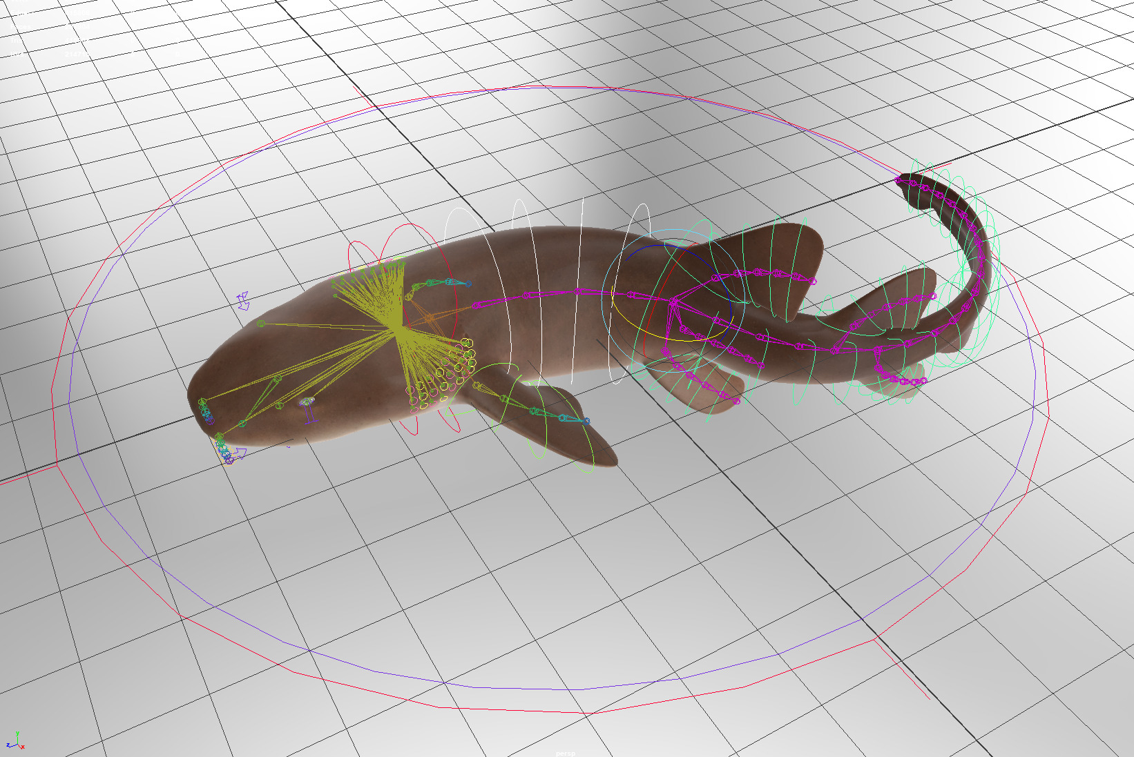 Nurse Shark 3D model_19