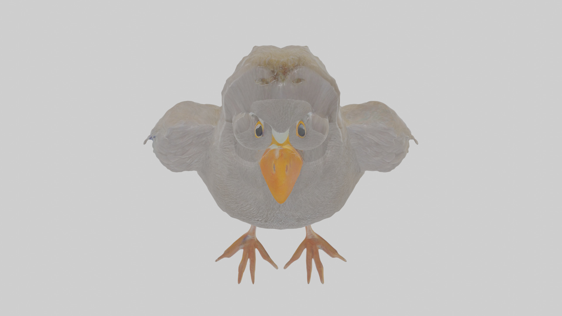 Cartoon Coot Low-poly 3D model_24