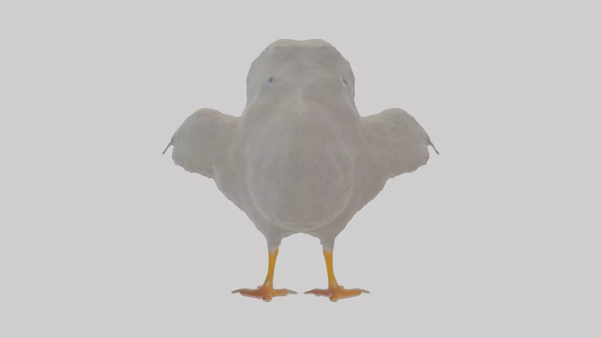 Cartoon Coot Low-poly 3D model_0