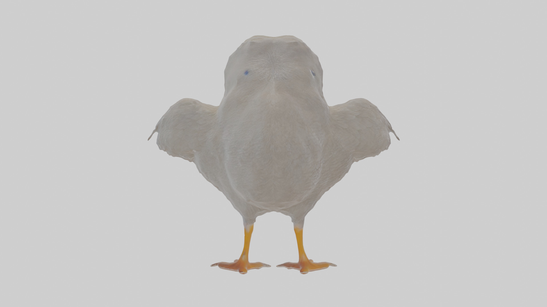 Cartoon Coot Low-poly 3D model_1