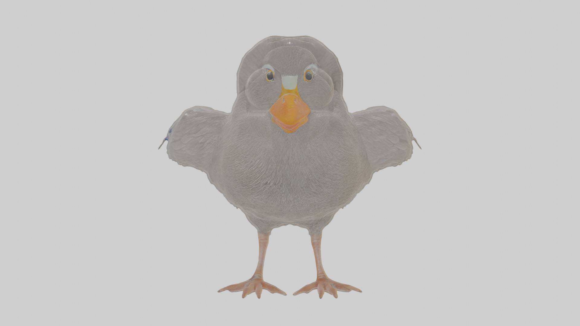 Cartoon Coot Low-poly 3D model_12