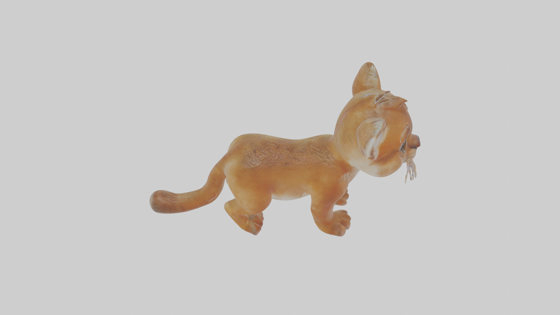 Cartoon Cougar Low-poly 3D model_28