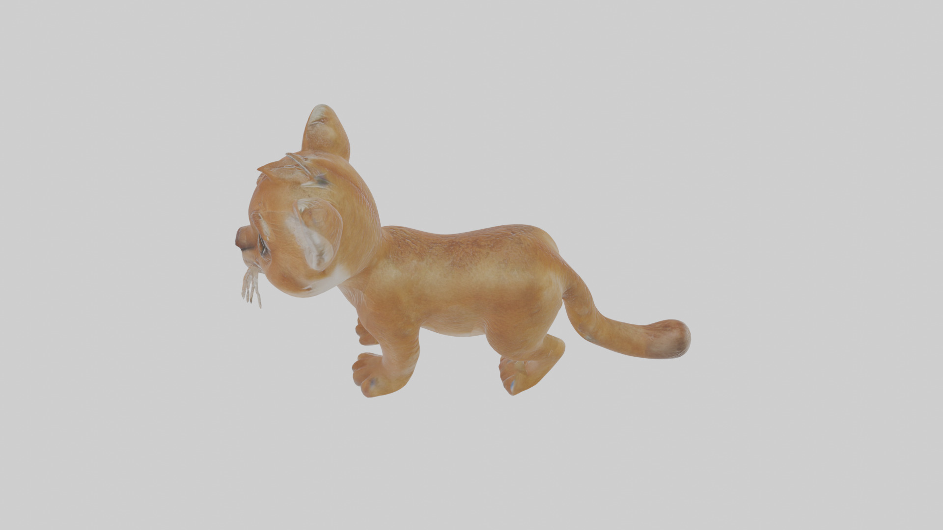 Cartoon Cougar Low-poly 3D model_27