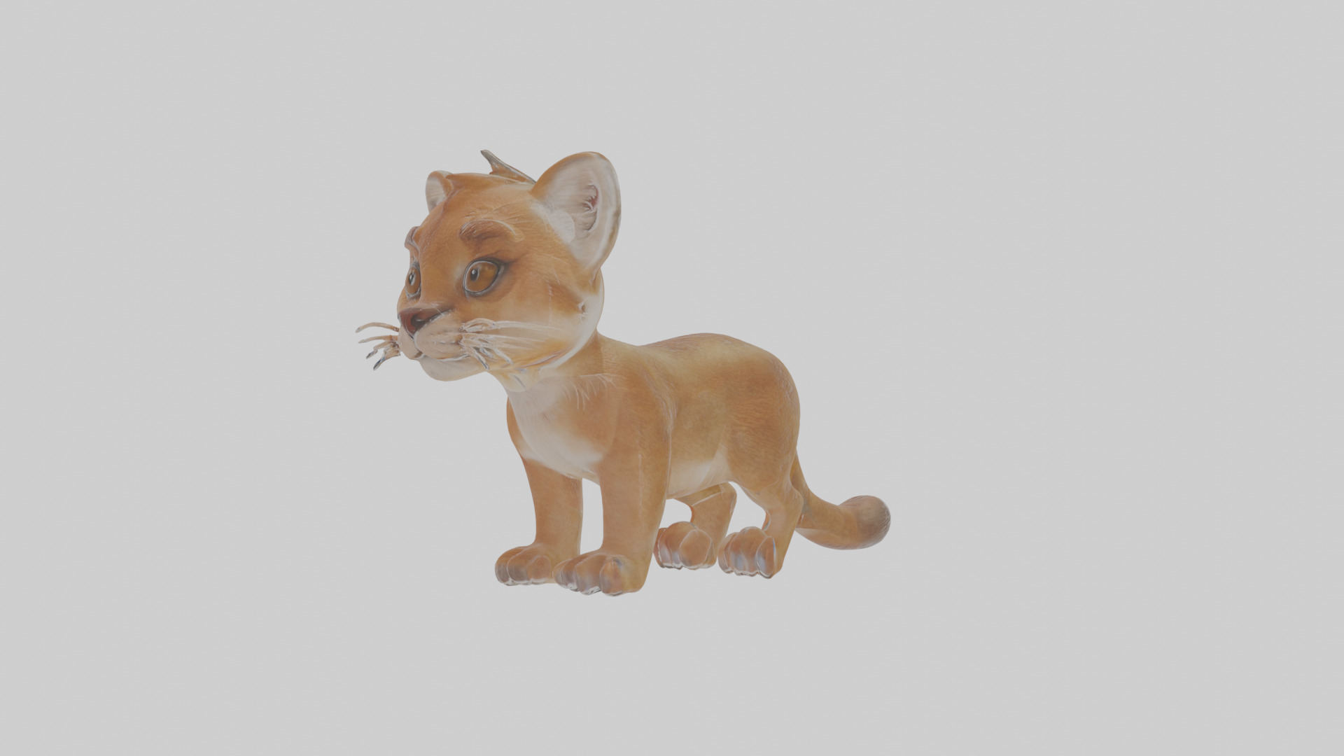 Cartoon Cougar Low-poly 3D model_15