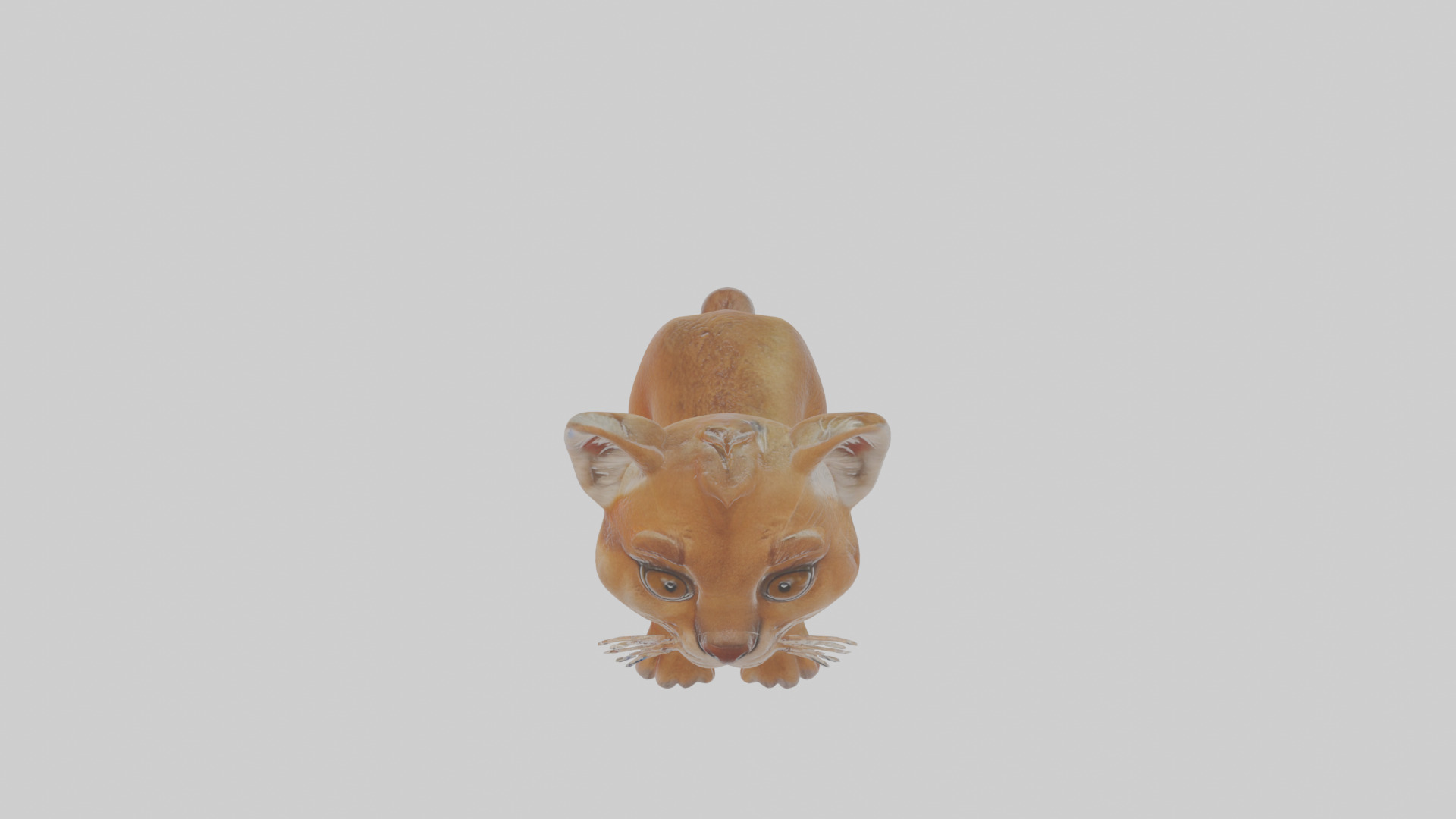 Cartoon Cougar Low-poly 3D model_26