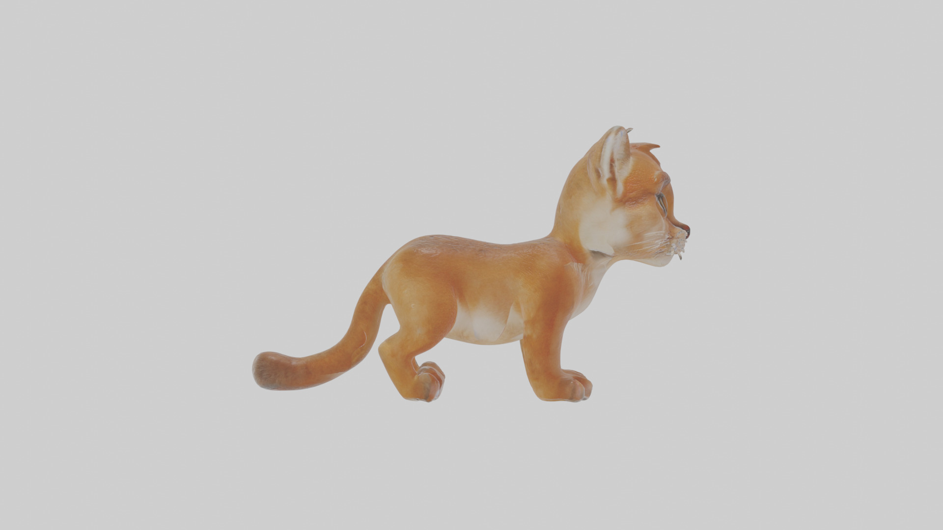 Cartoon Cougar Low-poly 3D model_21