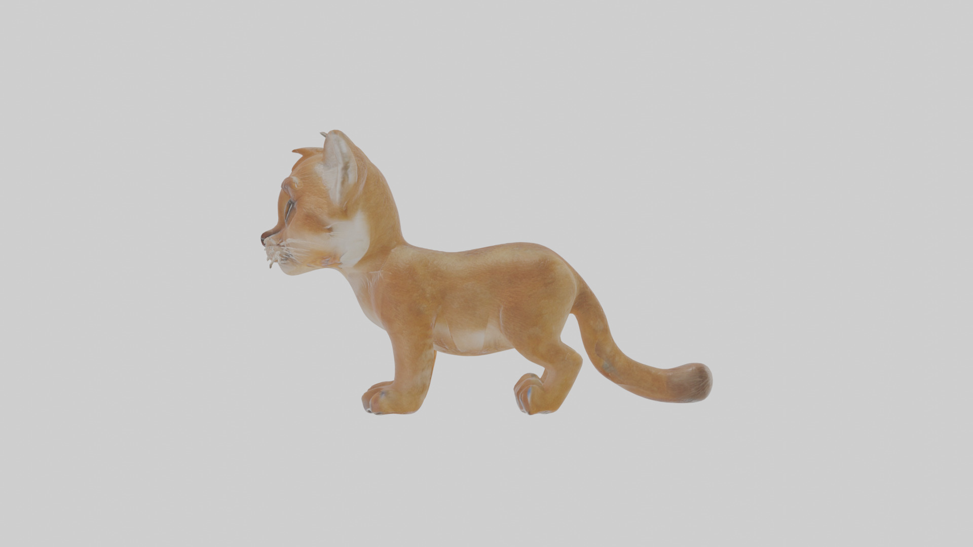 Cartoon Cougar Low-poly 3D model_20