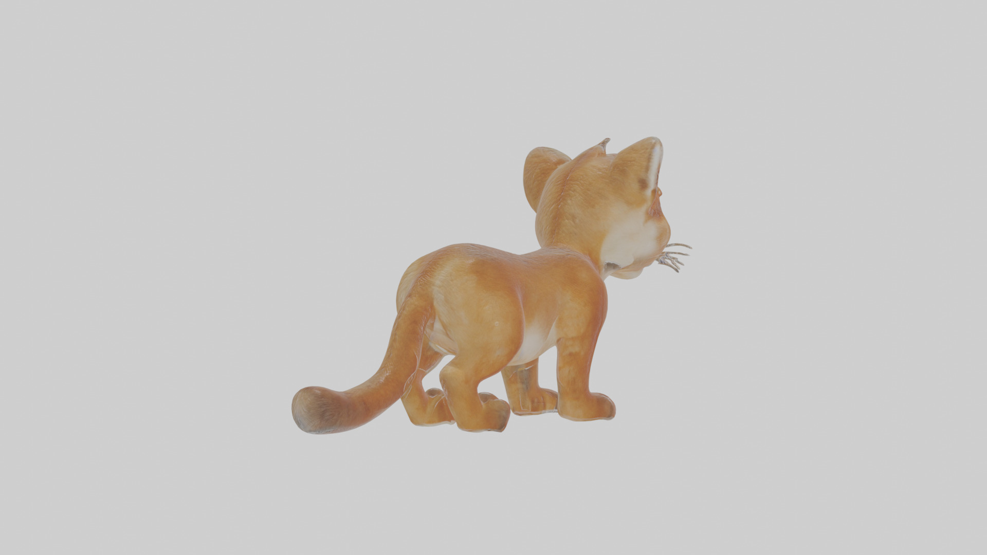 Cartoon Cougar Low-poly 3D model_5