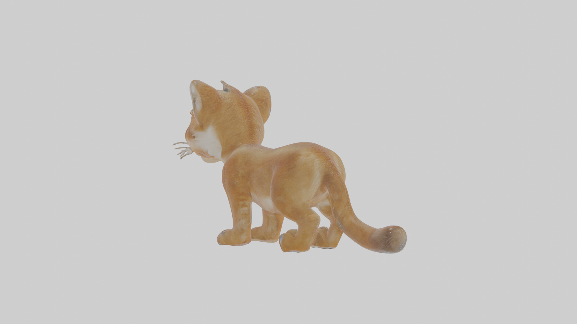 Cartoon Cougar Low-poly 3D model_3