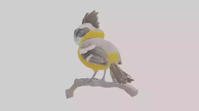Cartoon Crested Shriketit