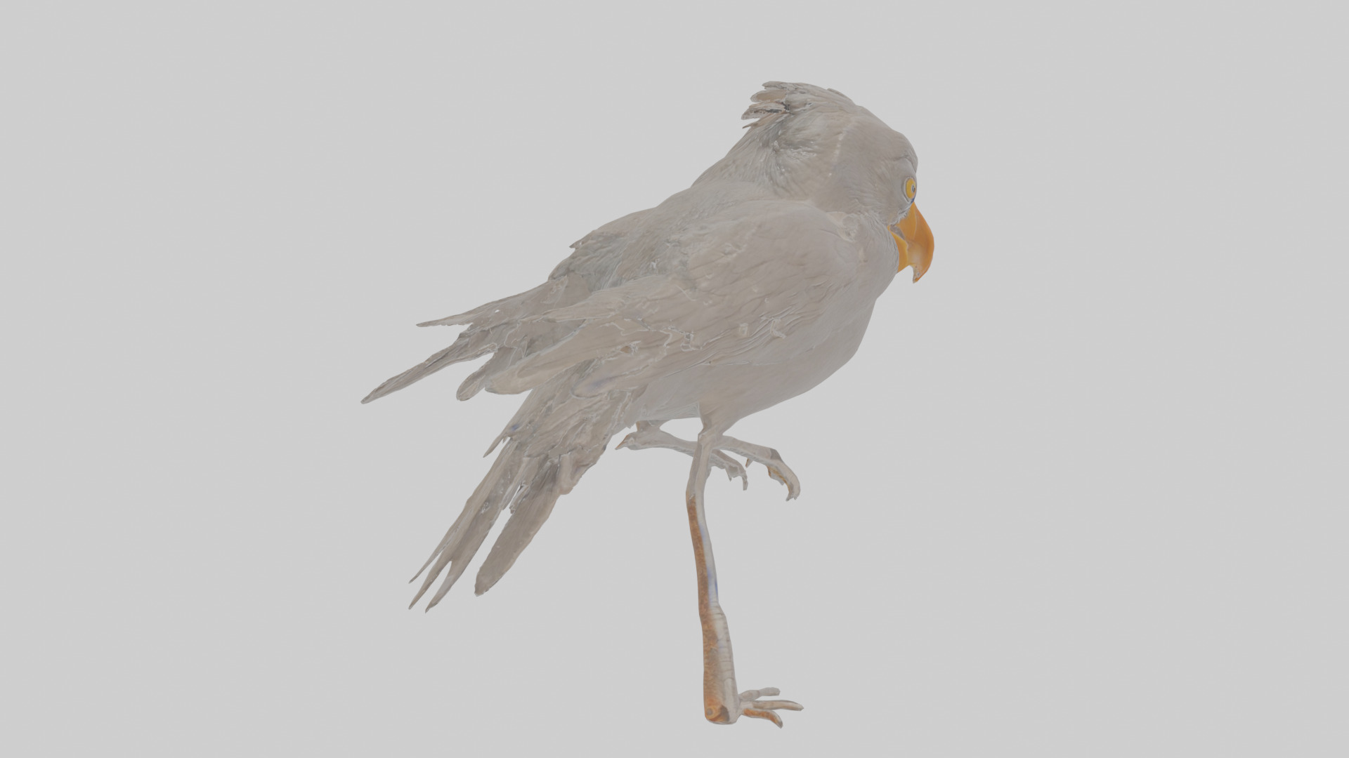 Cartoon Crow Low-poly 3D model_21