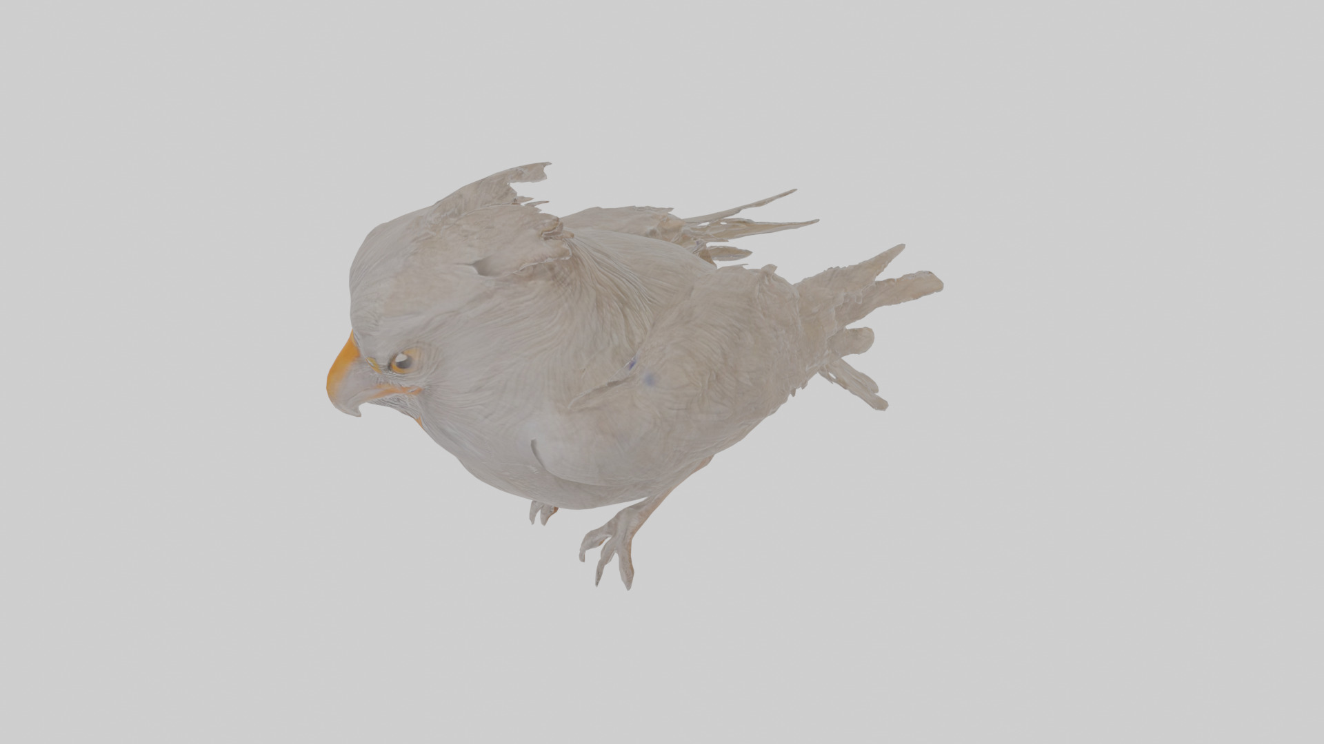 Cartoon Crow Low-poly 3D model_26