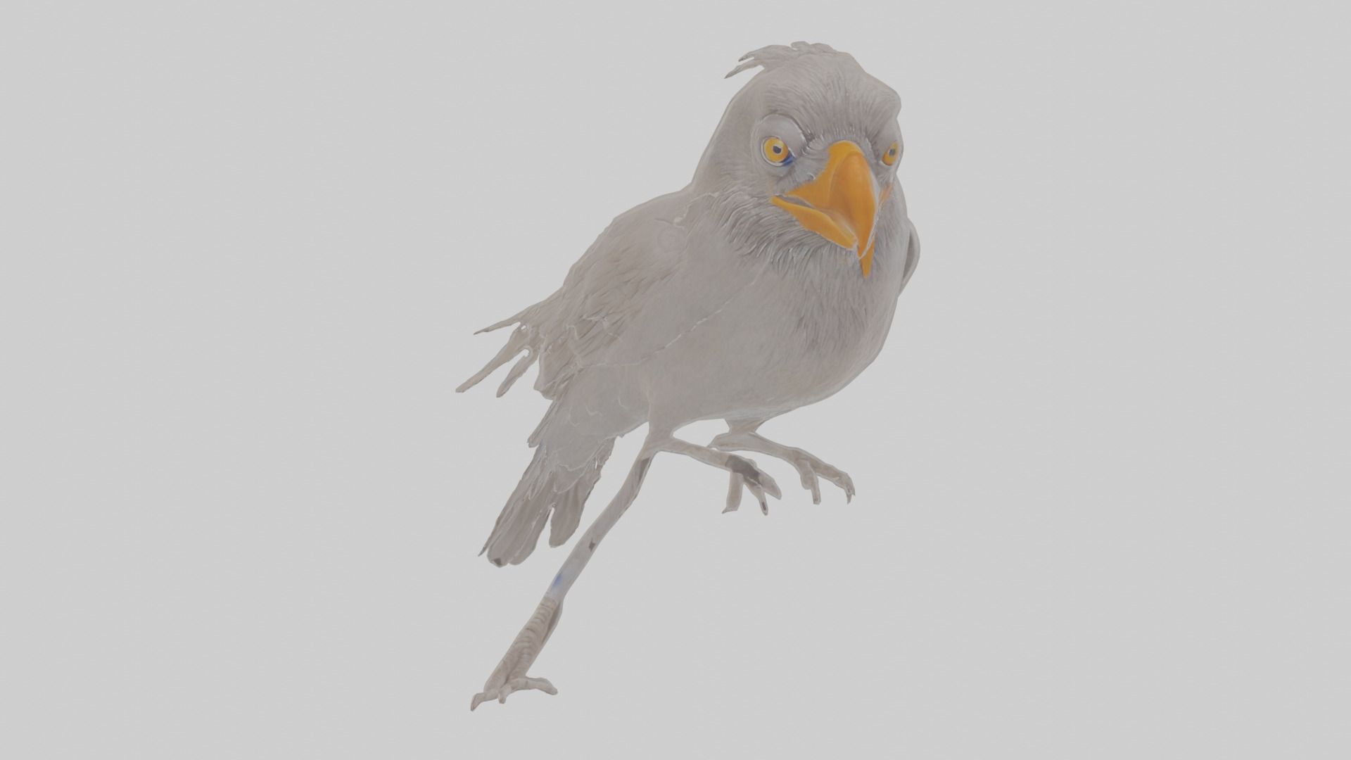 Cartoon Crow Low-poly 3D model_14