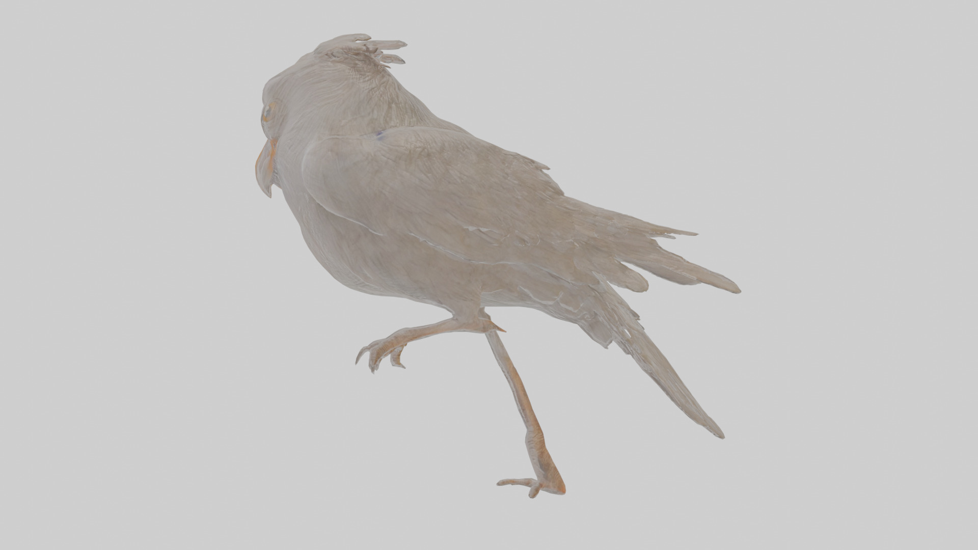 Cartoon Crow Low-poly 3D model_1