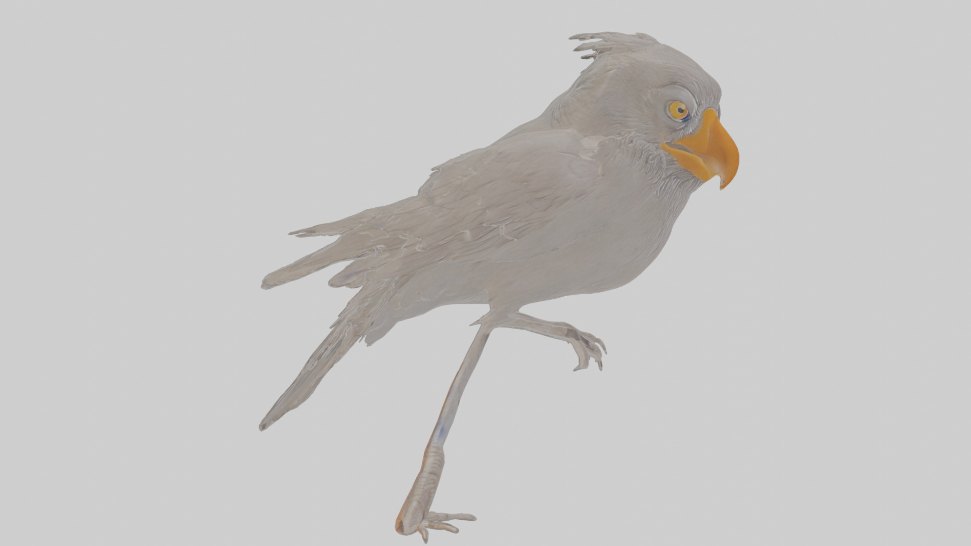 Cartoon Crow Low-poly 3D model_17