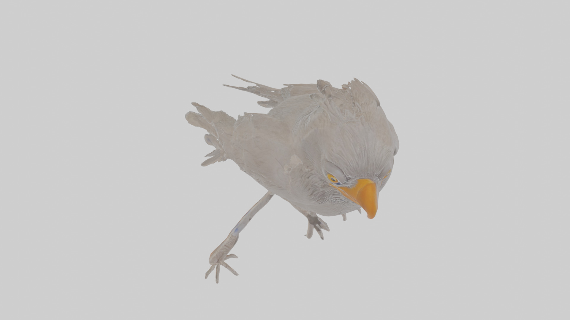 Cartoon Crow Low-poly 3D model_25