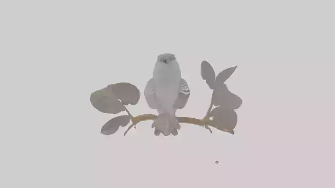 Cartoon Cuckooshrike
