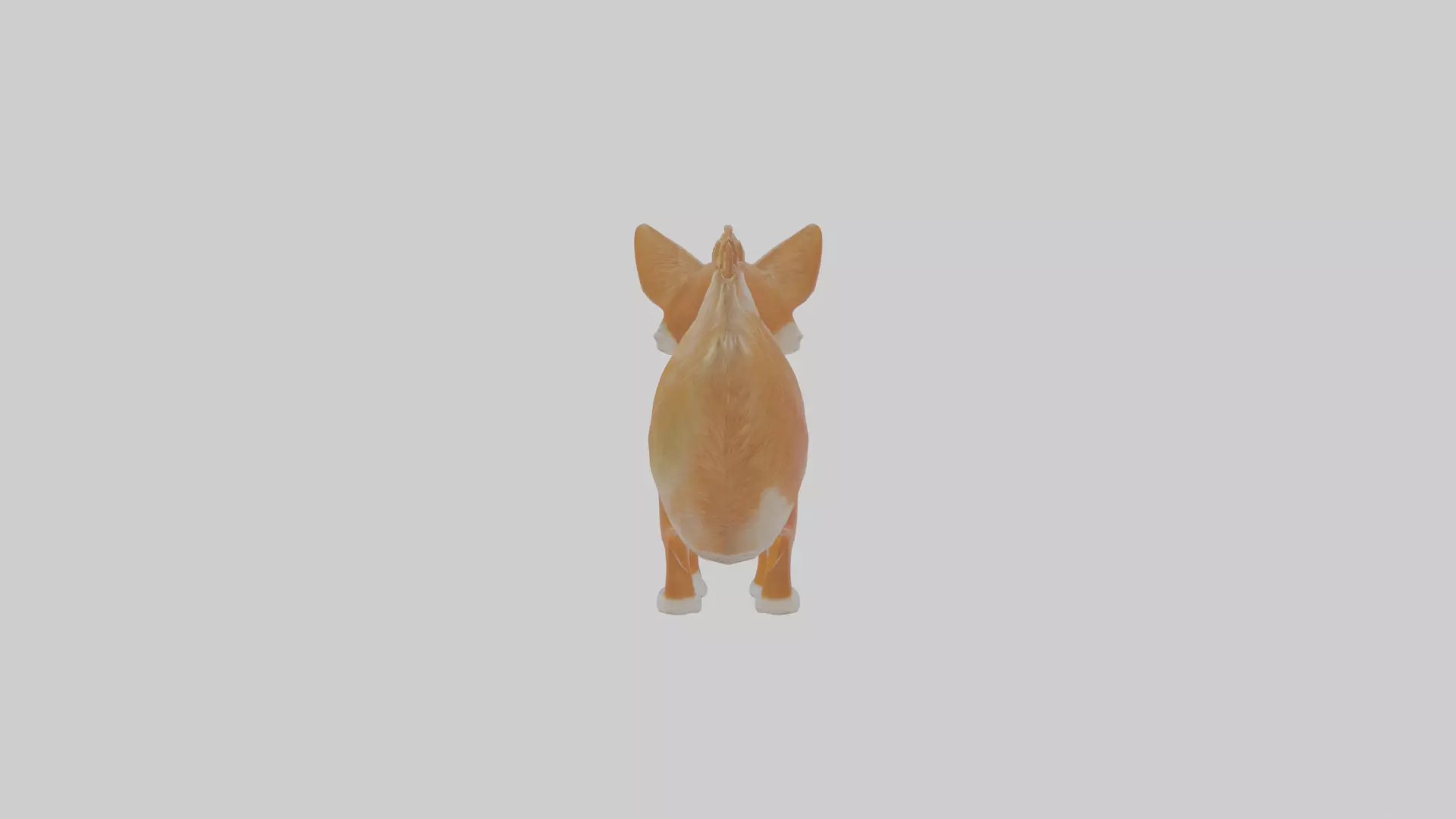 Cartoon Dingo Low-poly 3D model_0