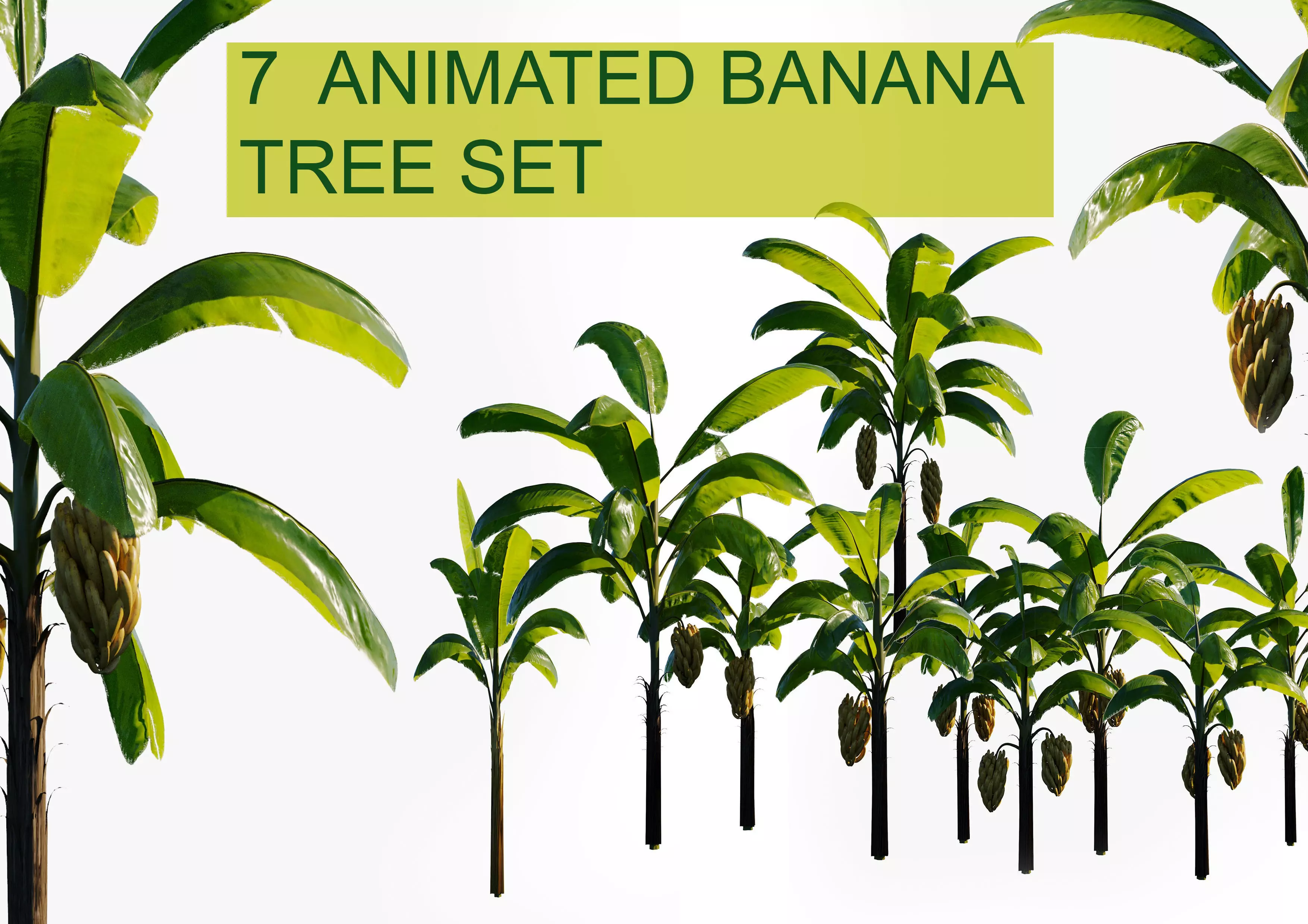 7 animated banana tree set Low-poly 3D model_0