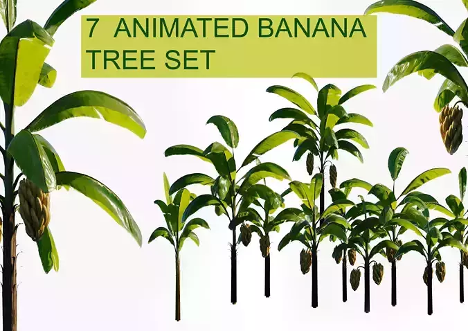 7 animated banana tree set Low-poly 3D model
