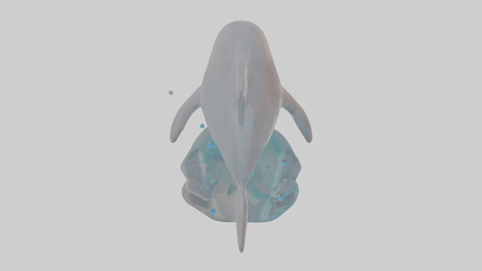 Cartoon Dolphin Low-poly 3D model_27