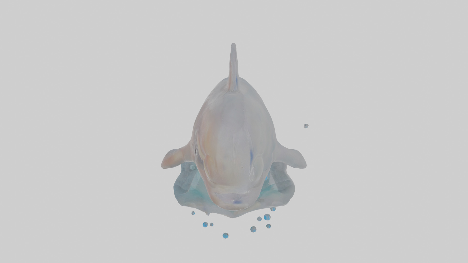 Cartoon Dolphin Low-poly 3D model_28