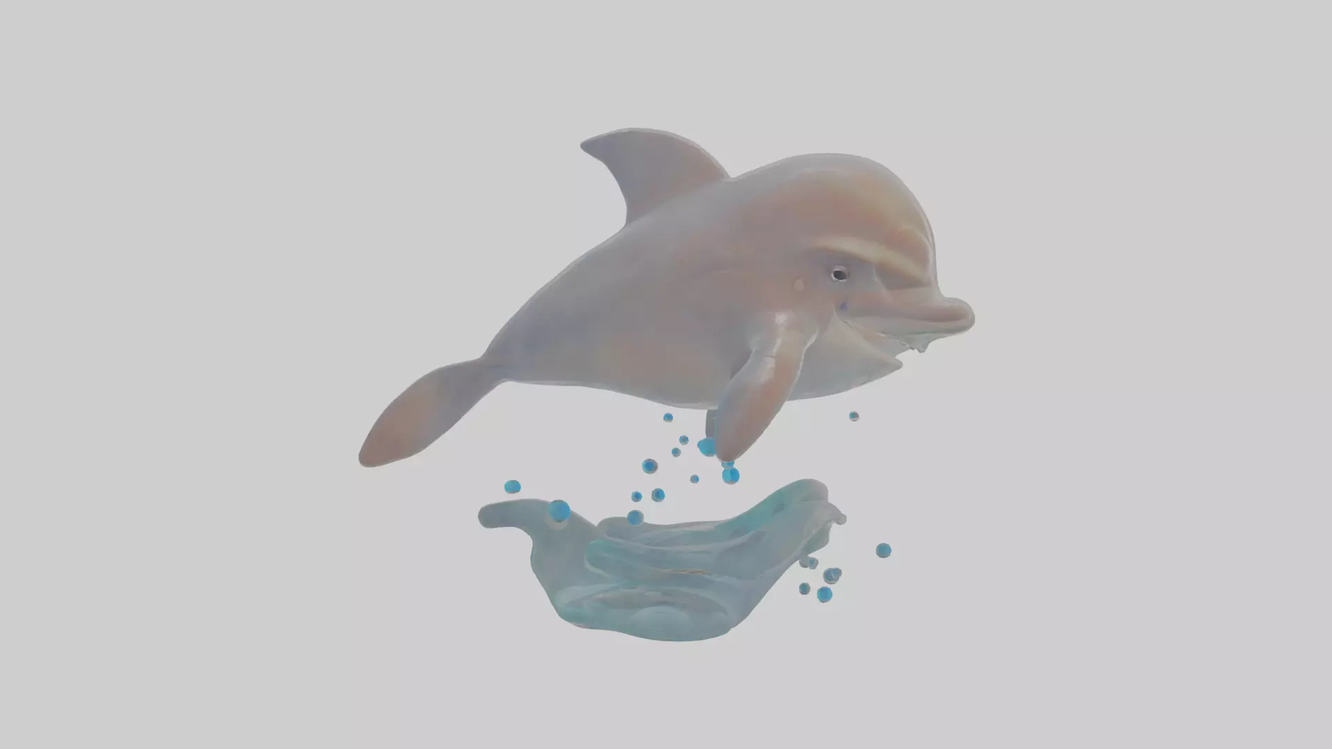 Cartoon Dolphin Low-poly 3D model_0