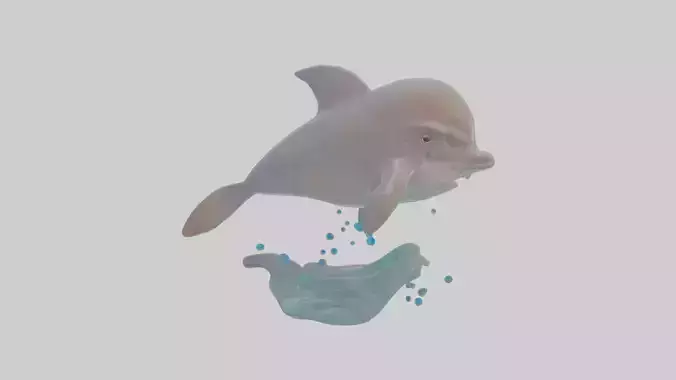 Cartoon Dolphin