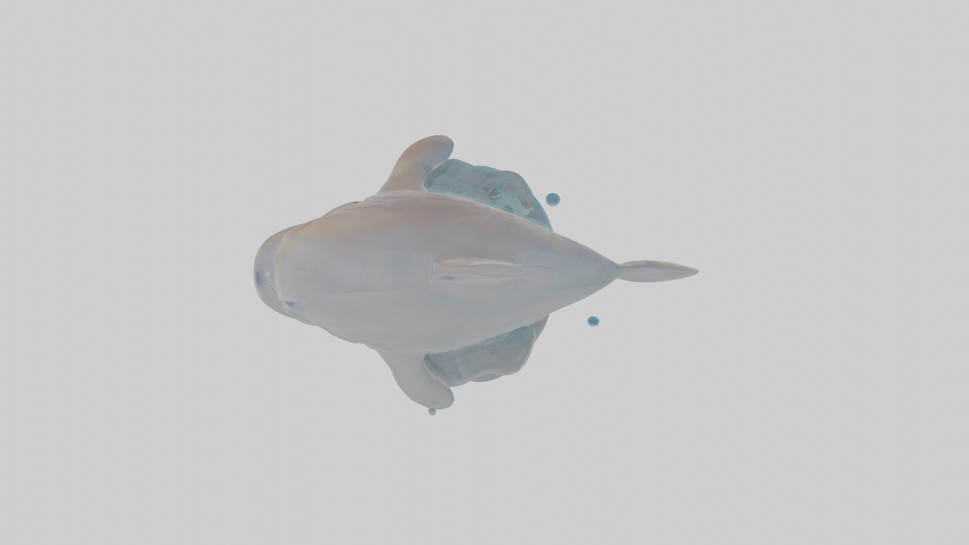 Cartoon Dolphin Low-poly 3D model_22