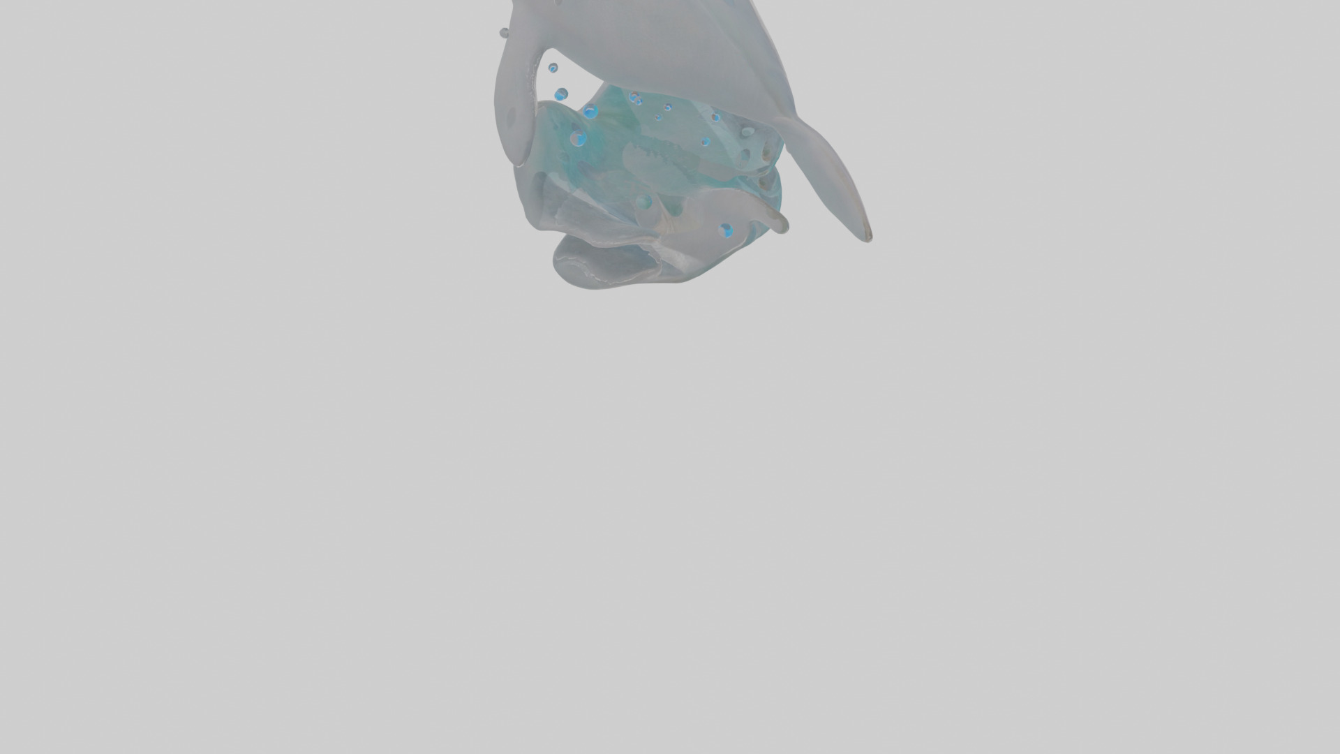 Cartoon Dolphin Low-poly 3D model_6