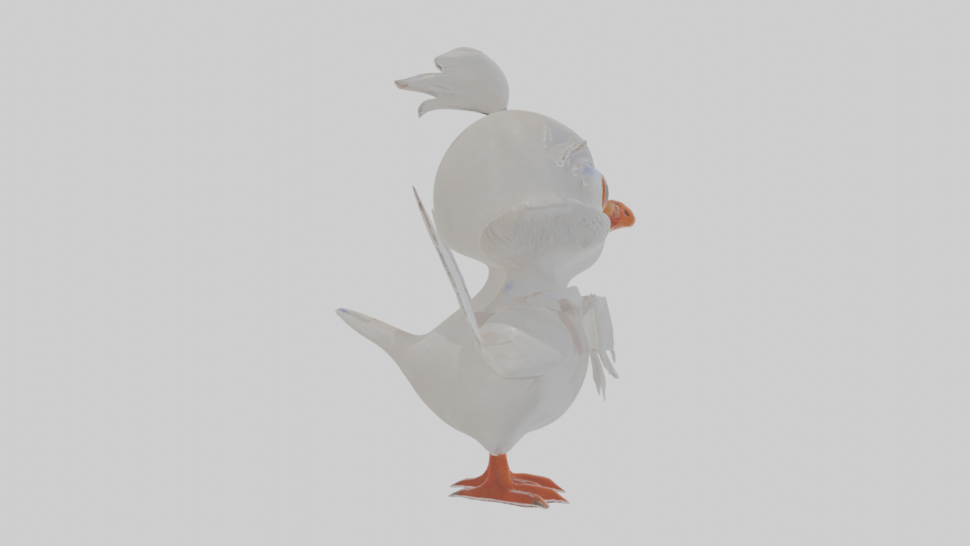 Cartoon Dove Low-poly 3D model_19