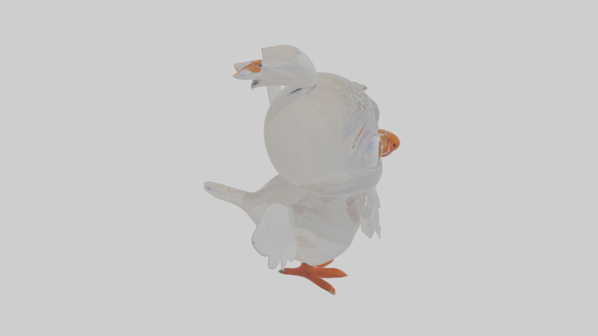 Cartoon Dove Low-poly 3D model_27