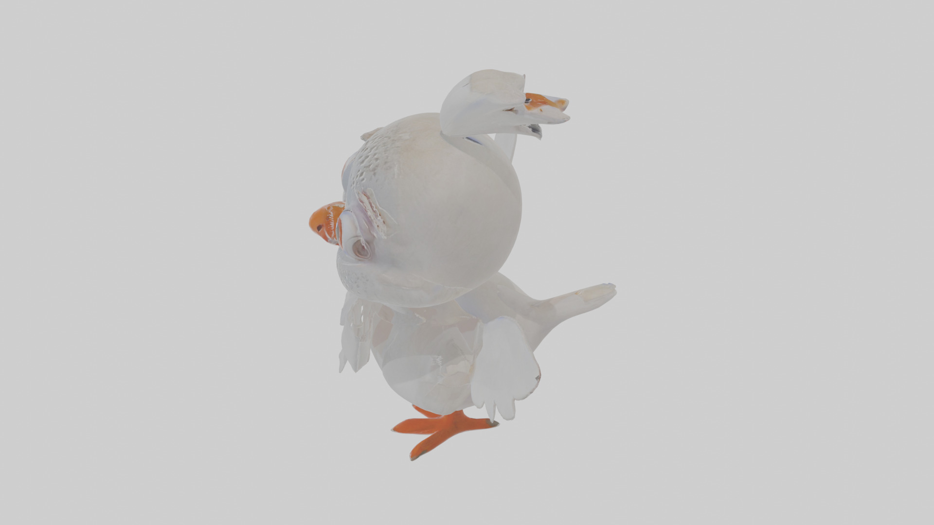 Cartoon Dove Low-poly 3D model_26