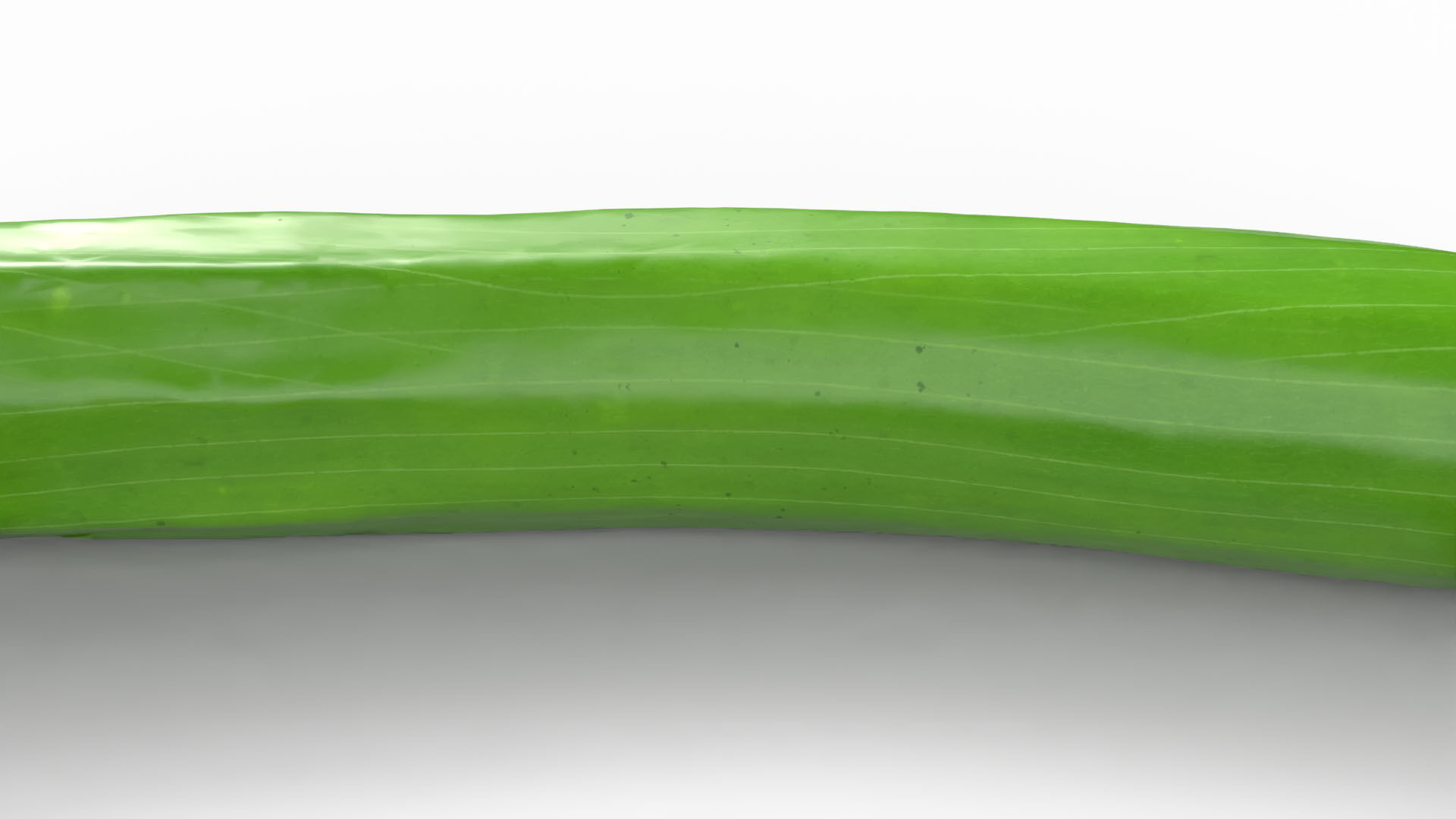 Realistic Cucumber Low-poly 3D model_9