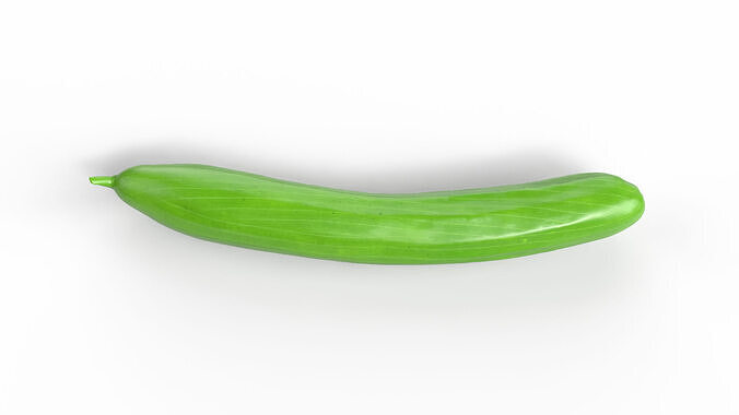Realistic Cucumber Low-poly 3D model